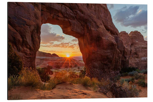 Alubild Pine tree Arch