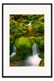 Gerahmter Kunstdruck Im grünen Tal
