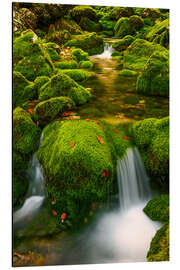 Magnettafel Im grünen Tal