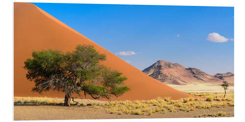 Hartschaumbild Namibia