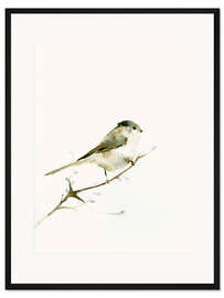 Gerahmter Kunstdruck Schwanzmeise