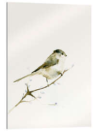 Gallery print Long-tailed tit