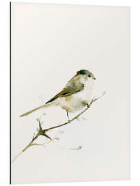 Magnettafel Schwanzmeise