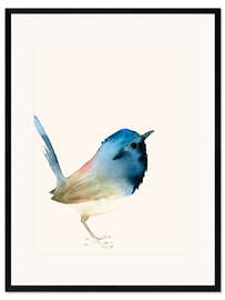 Ingelijste kunstdruk Donkerblauw vogeltje