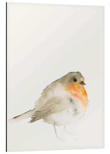 Aluminium print Robin