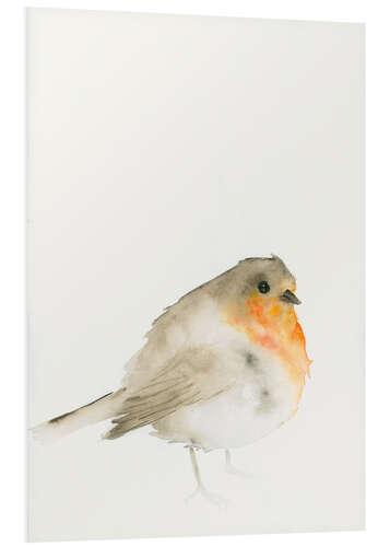 Foam board print Robin