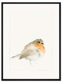 Gerahmter Kunstdruck Rotkehlchen - Catherina Türk