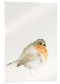 Gallery print Robin