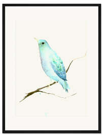 Gerahmter Kunstdruck Türkisblauer Vogel