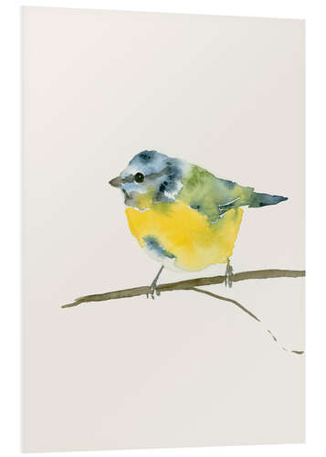 Foam board print Blue tit