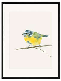 Gerahmter Kunstdruck Blaumeise