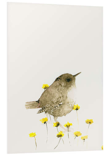 Foam board print Wren amongst yellow flowers