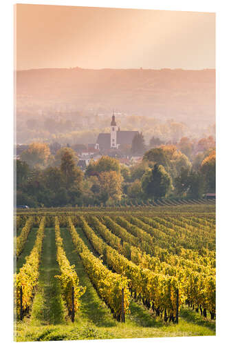 Quadro em acrílico Church and vineyards in the Rhine valley