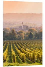 Foam board print Church and vineyards in the Rhine valley