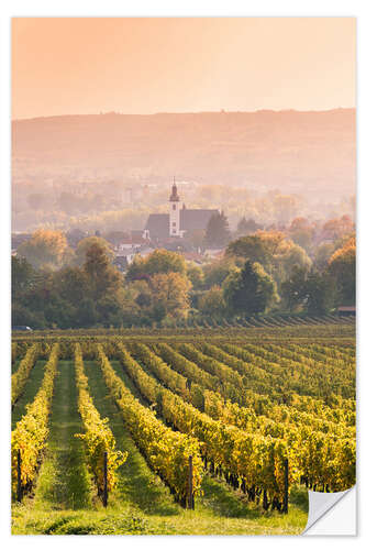 Selvklebende plakat Church and vineyards in the Rhine valley