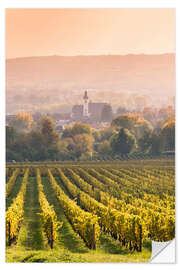 Naklejka na ścianę Church and vineyards in the Rhine valley