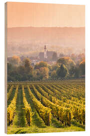 Obraz na drewnie Church and vineyards in the Rhine valley