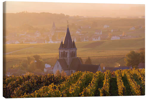 Canvas print Autumn vineyards near Ville Dommange in Champagne, France