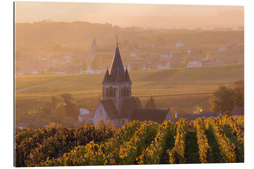 Tableau en plexi-alu Autumn vineyards near Ville Dommange in Champagne, France