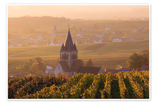 Poster Autumn vineyards near Ville Dommange in Champagne, France