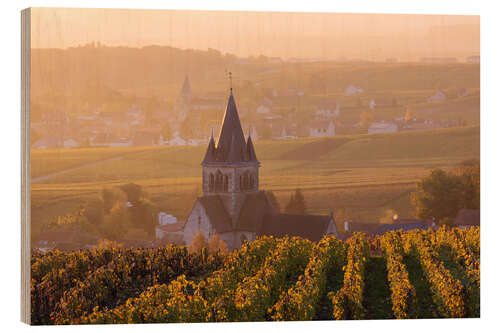 Puutaulu Autumn vineyards near Ville Dommange in Champagne, France