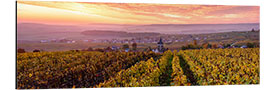 Aluminium print Panoramic of autumn vineyards near Ville Dommange in Champagne, France