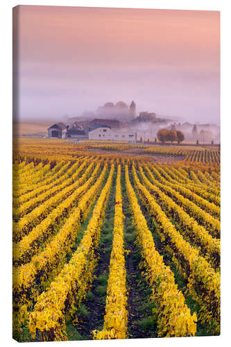 Canvas print Vineyards in autumn, Champagne, France
