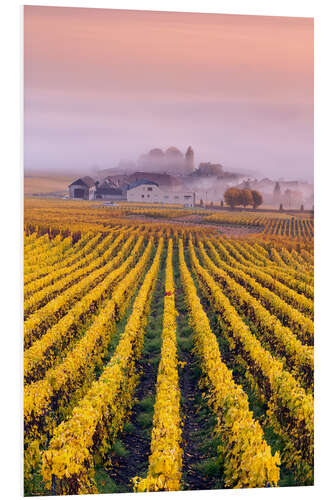 PVC print Vineyards in autumn, Champagne, France