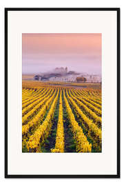Gerahmter Kunstdruck Weinberge im Herbst in der Nähe von Oger, Champagne, Frankreich
