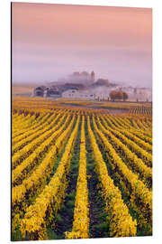 Magnettafel Weinberge im Herbst in der Nähe von Oger, Champagne, Frankreich