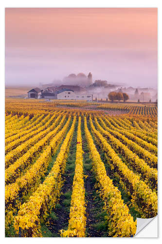 Wall sticker Vineyards in autumn, Champagne, France