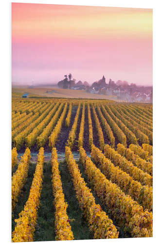 Quadro em PVC Autumnal vineyards in Champagne