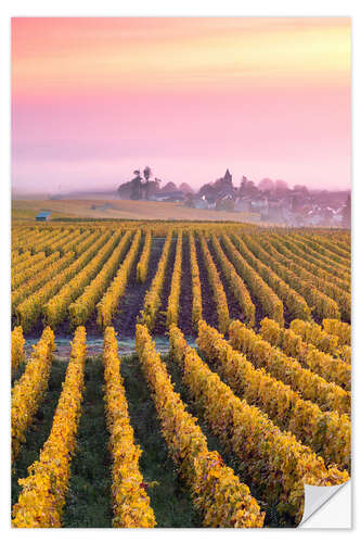 Naklejka na ścianę Autumnal vineyards in Champagne