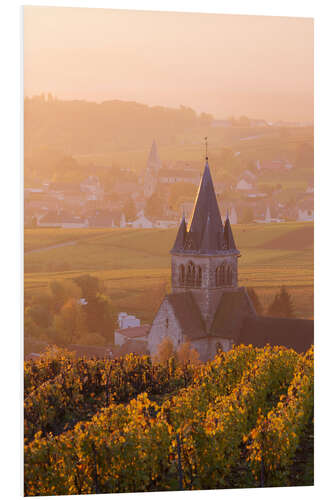 Print på skumplade Church and vineyards near Ville Dommange in Champagne, France