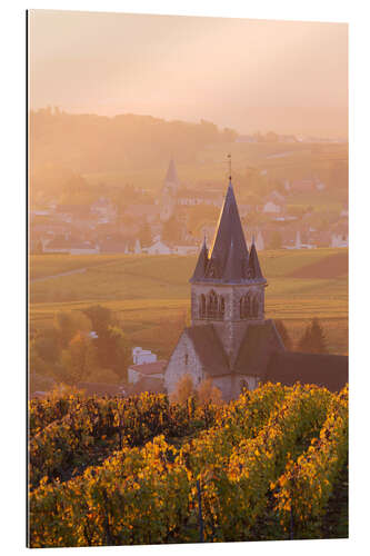 Quadro em plexi-alumínio Church and vineyards near Ville Dommange in Champagne, France