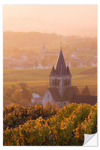 Vinilo para la pared Church and vineyards near Ville Dommange in Champagne, France