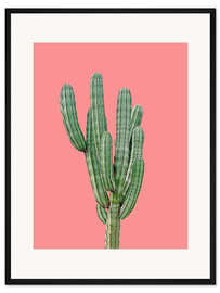 Gerahmter Kunstdruck Kaktus in Pink