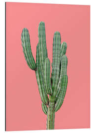Magnettafel Kaktus in Pink