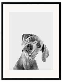 Framed art print Questioning look