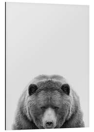 Magnettafel Zottelbär