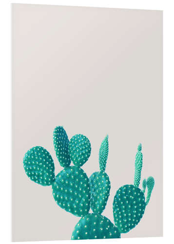 Stampa su PVC Cactus turchese