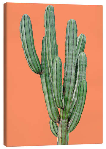 Canvas print Cactus in orange