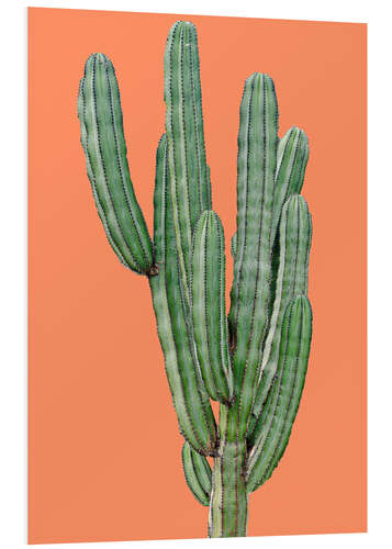 Foam board print Cactus in Orange