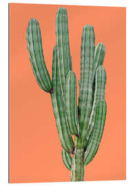 Gallery print Cactus in Orange