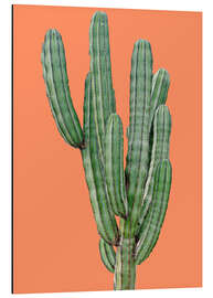 Magnettafel Kaktus in Orange