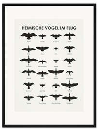 Gerahmter Kunstdruck Heimische Vögel im Flug
