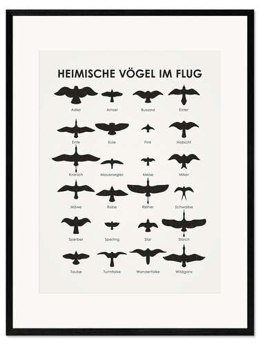 Ingelijste kunstdruk Inheemse vogels - vliegend (Duits)
