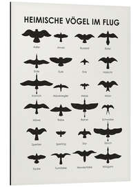 Magnettafel Heimische Vögel im Flug