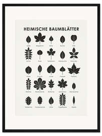 Gerahmter Kunstdruck Heimische Baumblätter