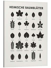 Magnettafel Heimische Baumblätter